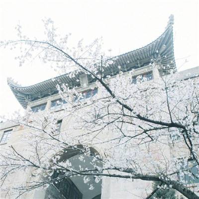 梦幻途灵域之剑游戏